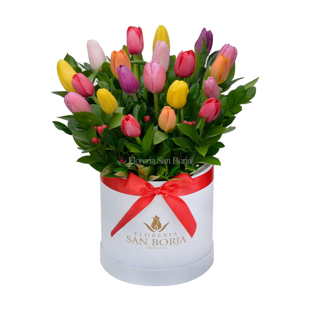 Box cilindrico SB - 20 tulipanes Box cilindrico SB - 20 tulipanes