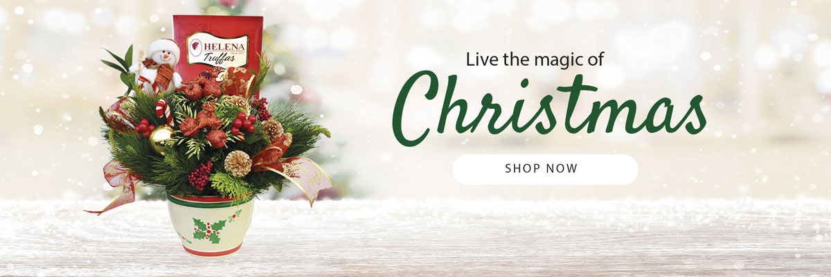 christmas gifts in lima peru 2025