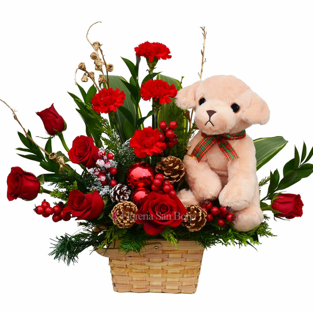 Bobby in Christmas Basket