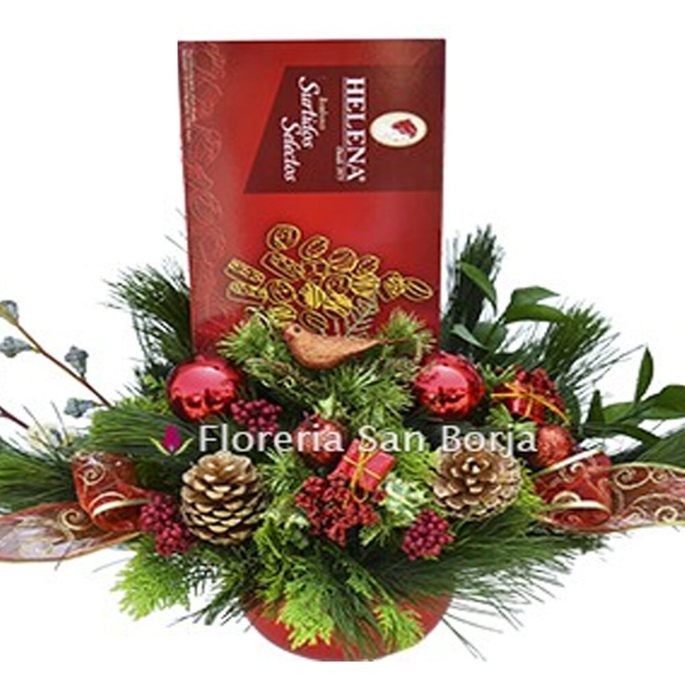 Modelo Magica Navidad
