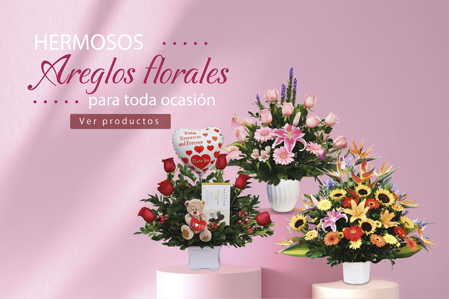 Inicio girasoles