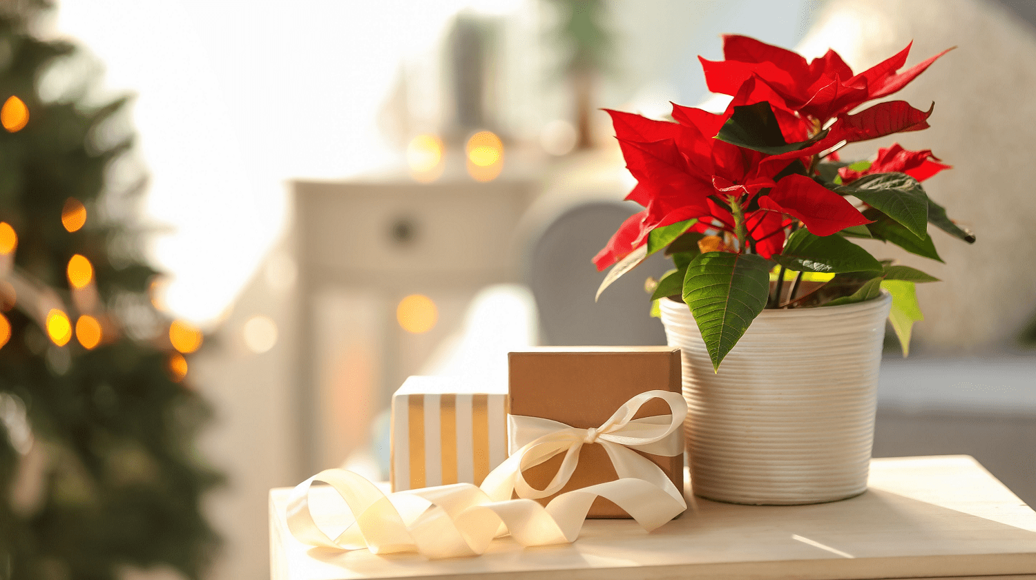 Regalos para navidad, 7 ideas que no pueden fallarte regalos para mama