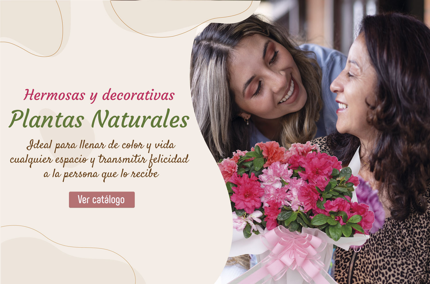 Inicio regalos para papa