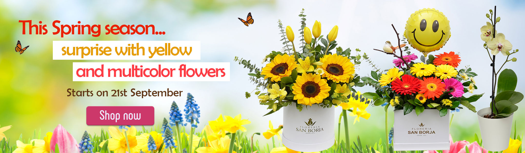 Inicio flores para regalar