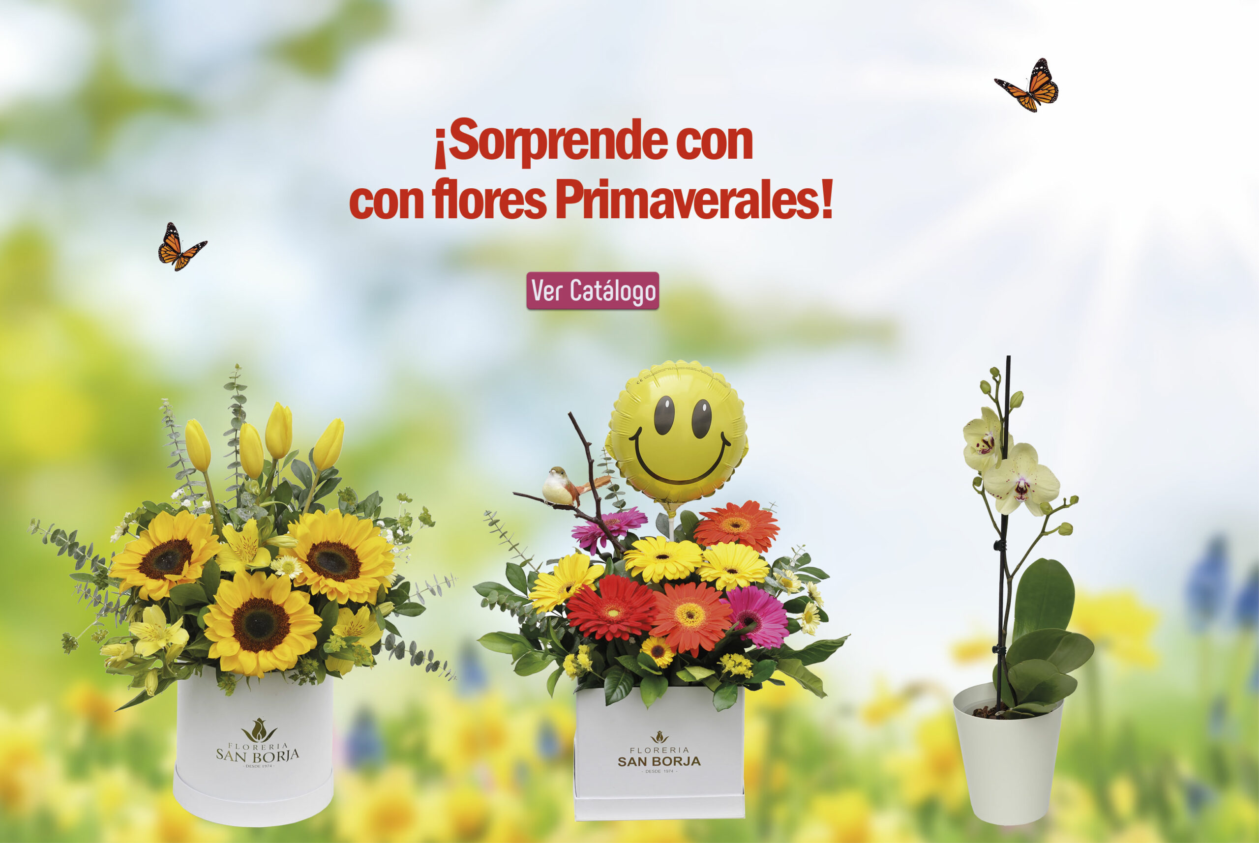 flores de primavera, lima peru