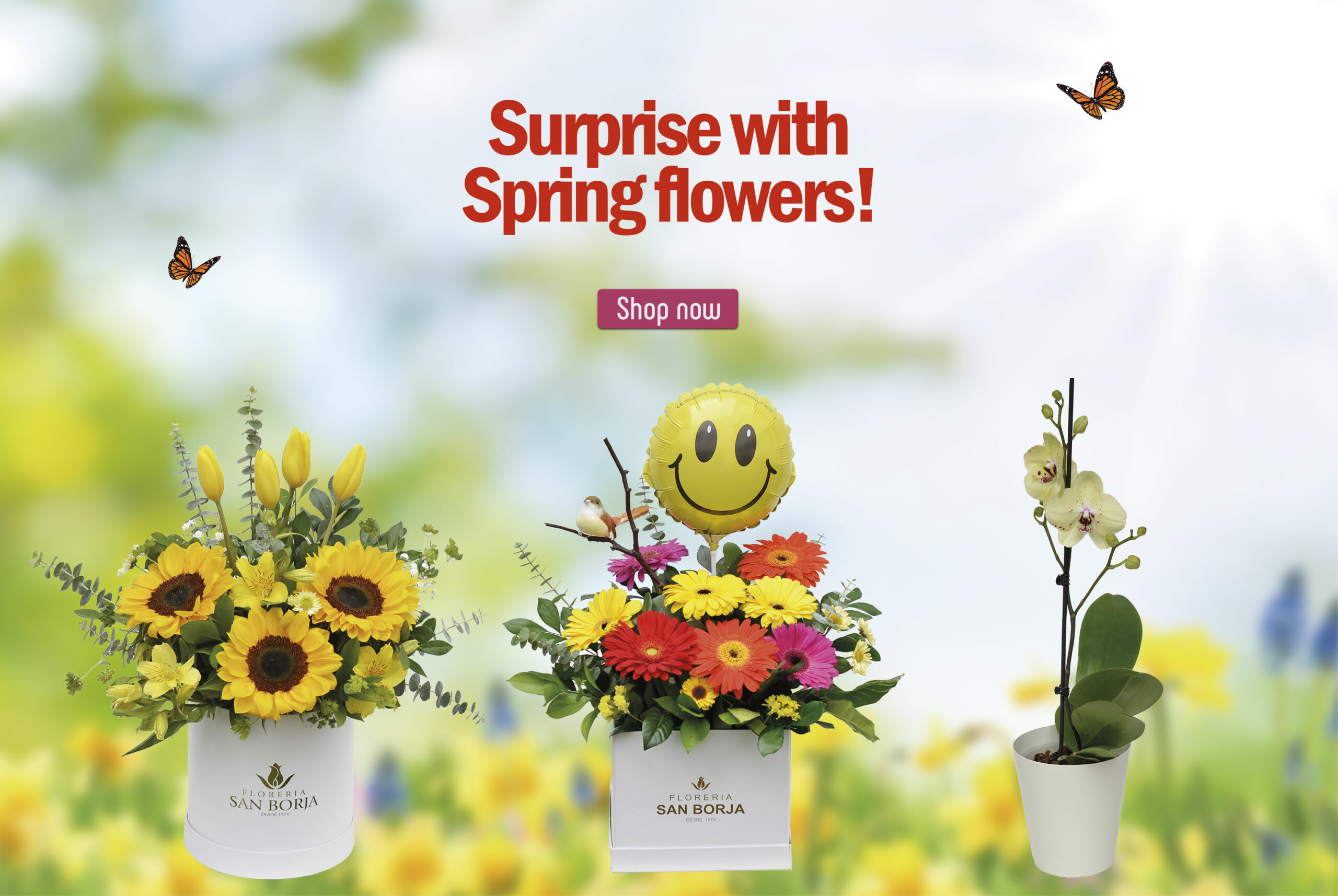 Inicio flores para regalar