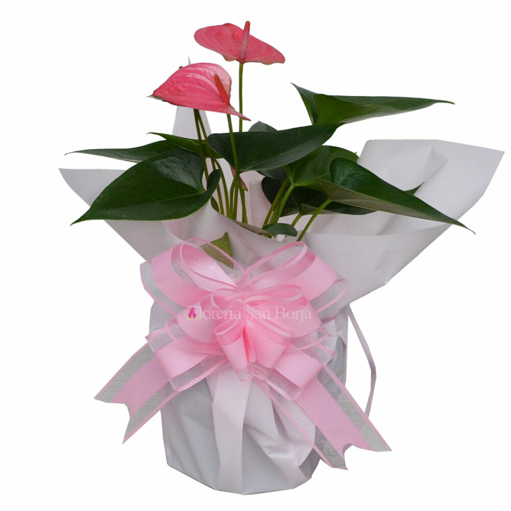 Flores para mamá en su día flores para mamá