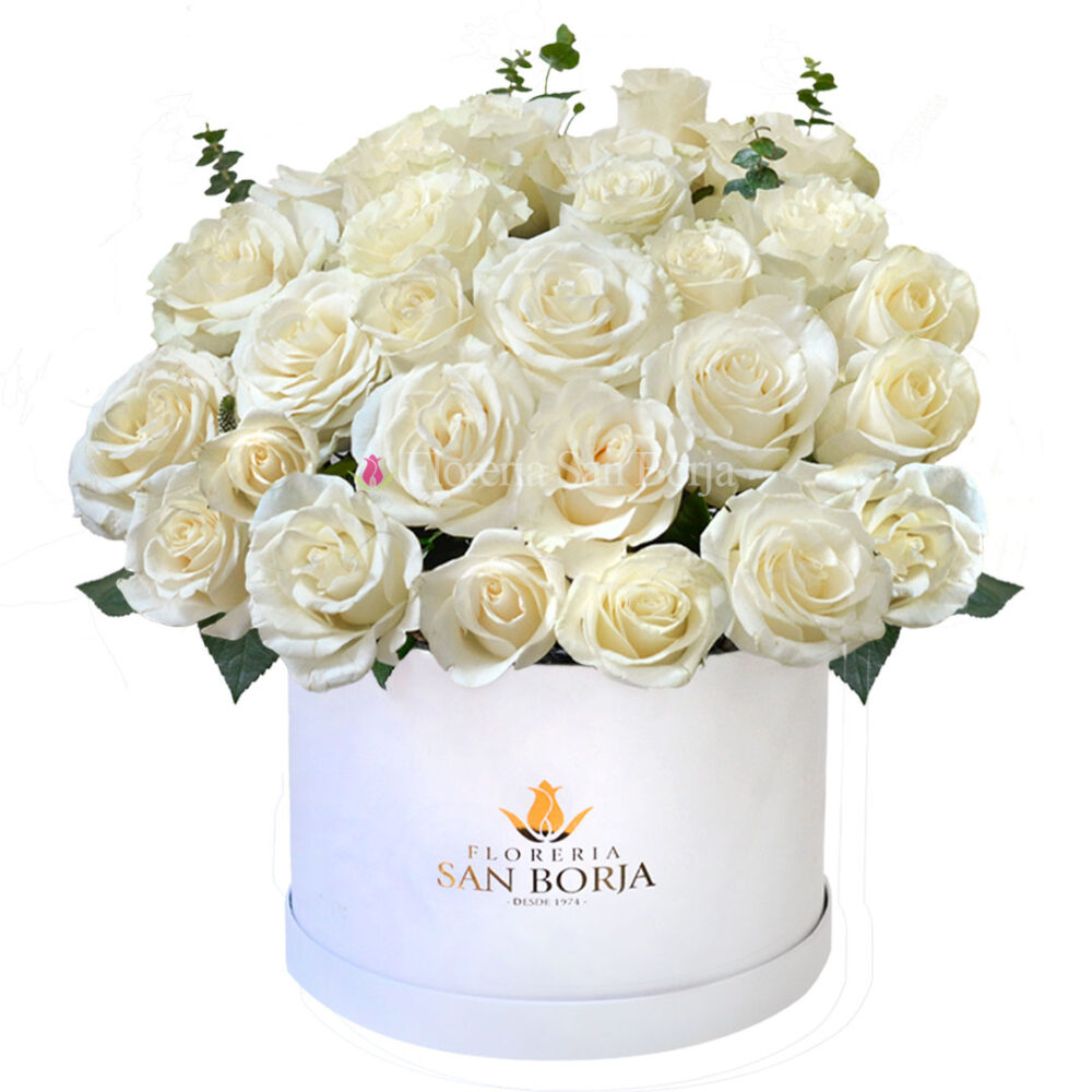 Box cilíndrico 24 rosas blancas Box cilíndrico 24 rosas blancas