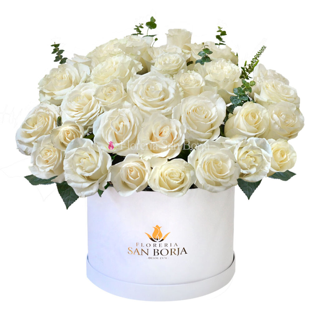 Box cilíndrico 36 rosas blancas Box cilíndrico 36 rosas blancas