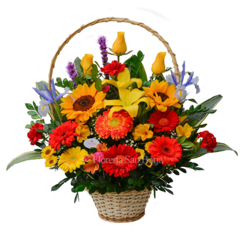 canasta wendy especial con rosas