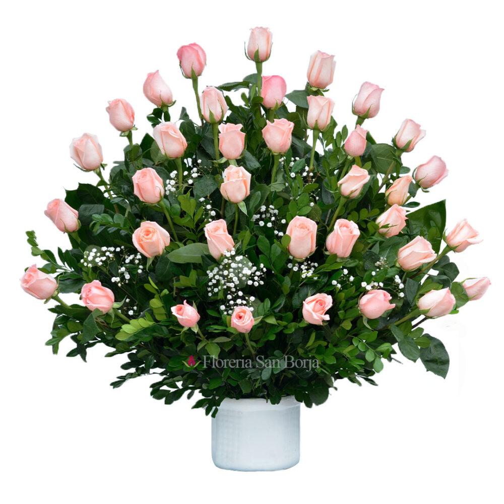 Modelo Florida – 36 rosas rosadas Modelo Florida – 36 rosas rosadas