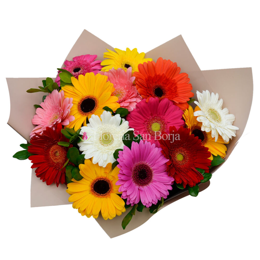 Ramo 15 Gerberas - Nice Day