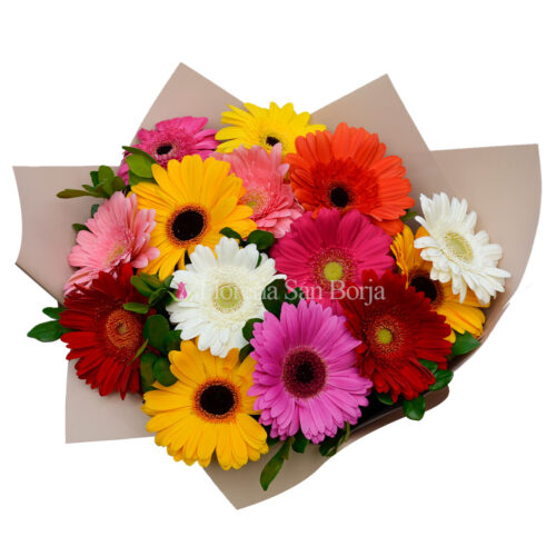 Flowers delivery to La Victoria Lima Peru Flowers delivery to La Victoria Lima Peru
