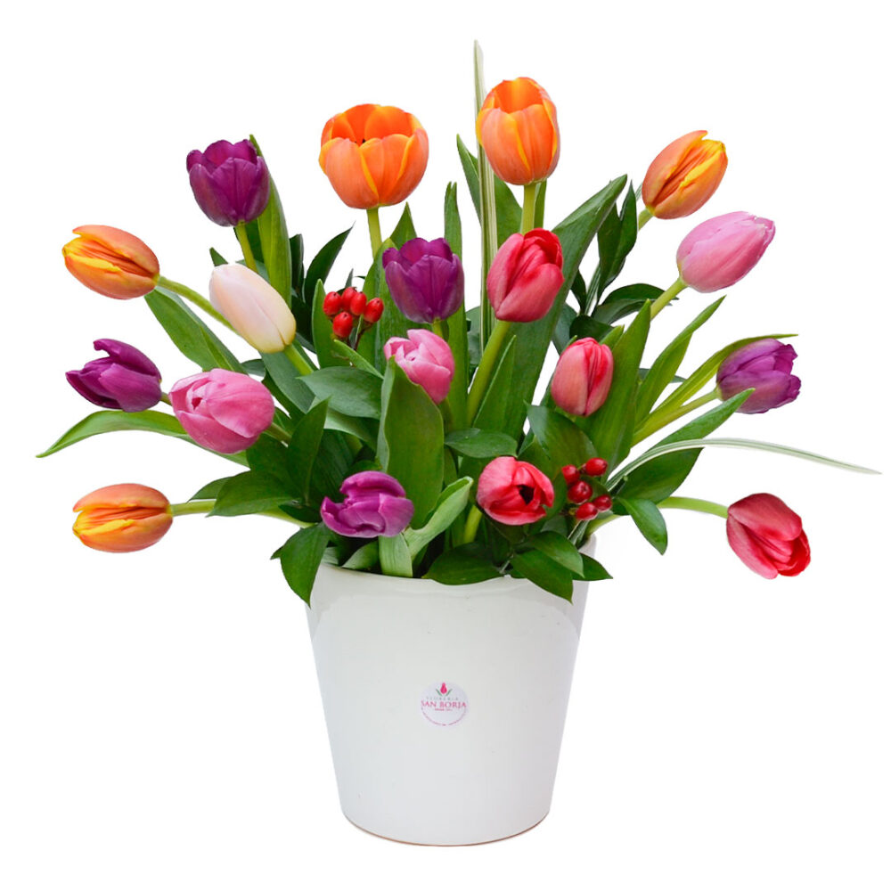Modelo Tulips for You - 18 tulipanes Modelo Tulips for You - 18 tulipanes