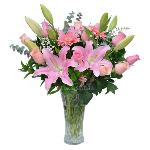 Modelo Beautiful Pink Grace