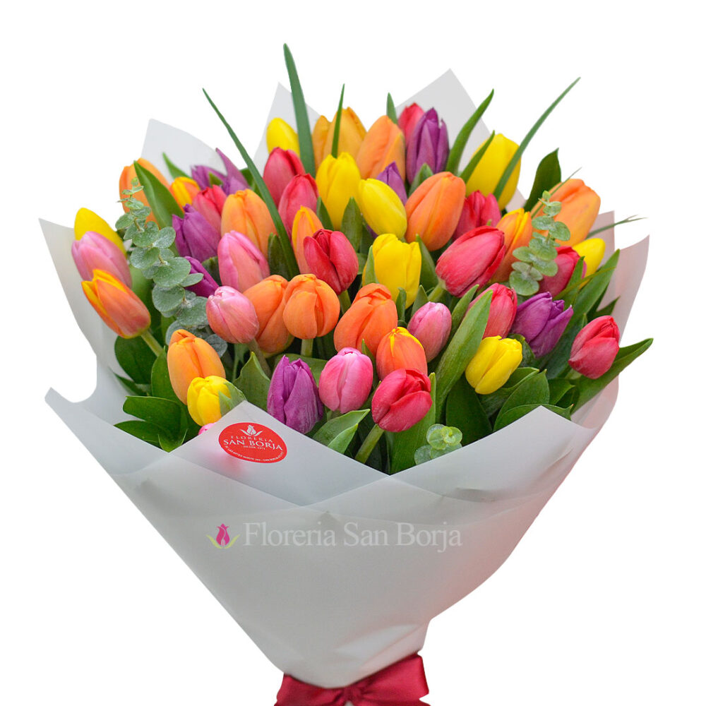 Ramo 50 Tulipanes Multicolor Ramo 50 Tulipanes Multicolor