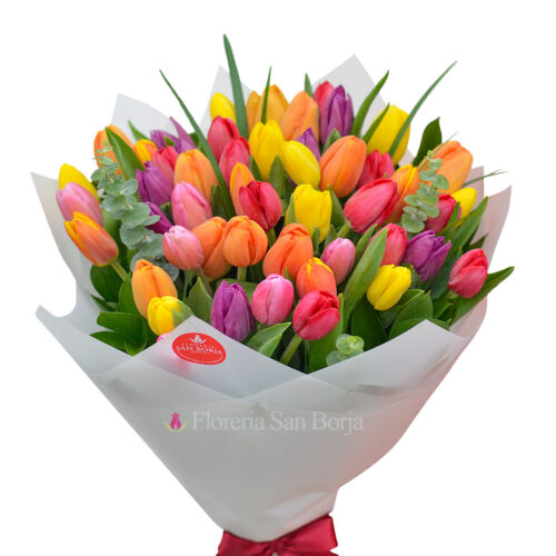 Ramo 50 Tulipanes Multicolor
