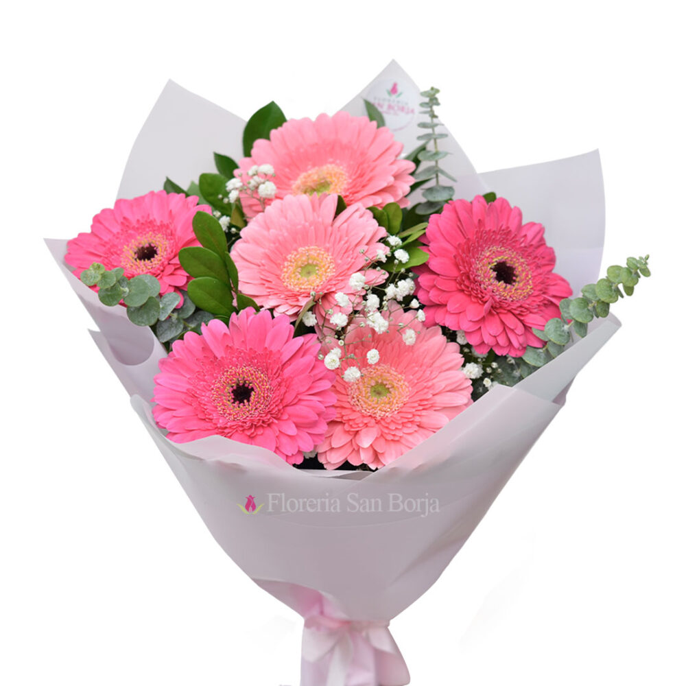 Ramo con 6 Gerberas Ramo con 6 Gerberas