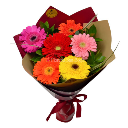 Ramo con 6 Gerberas multicolor