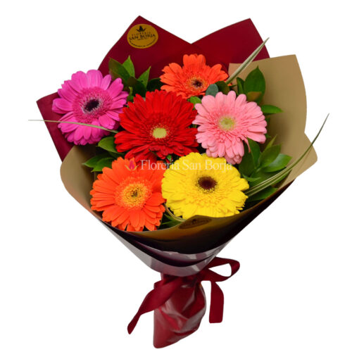 Ramo con 6 Gerberas multicolor