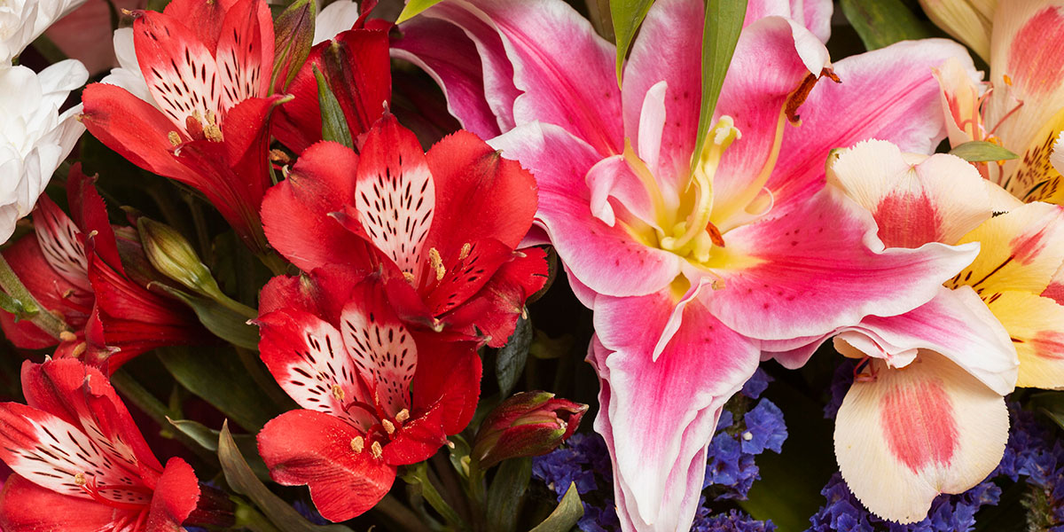 Flores para el Día de los Muertos que debes conocer que se celebra el 31 de octubre