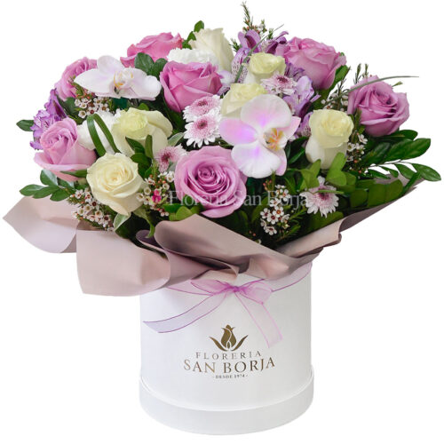 box lavender whispers for you