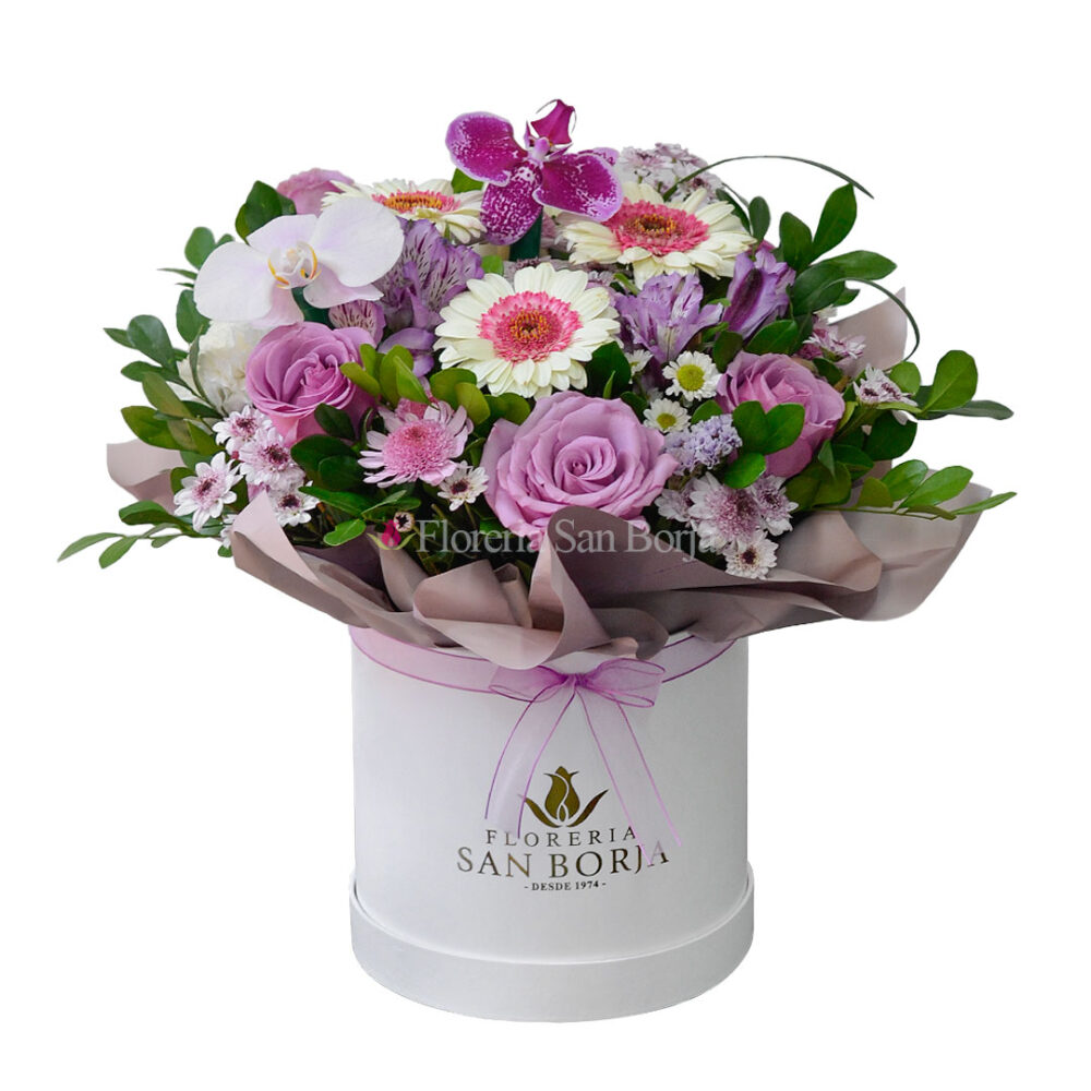 Box Sweet Lilac Bloom Box Sweet Lilac Bloom