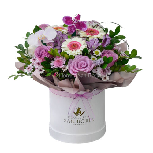 Box Sweet Lilac Bloom