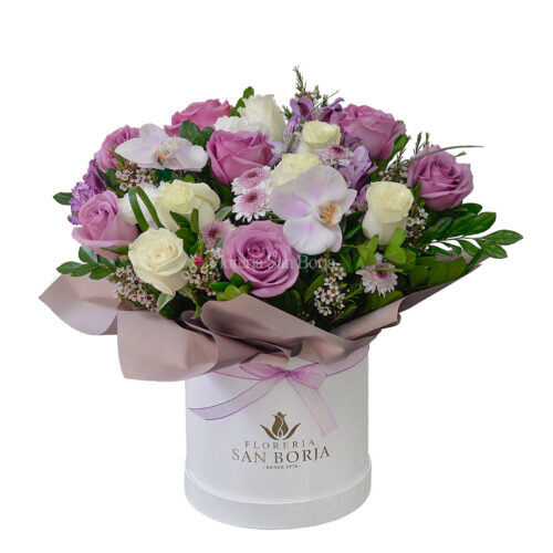 Box Lavender Whispers for You