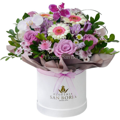 Box Sweet Lilac Bloom