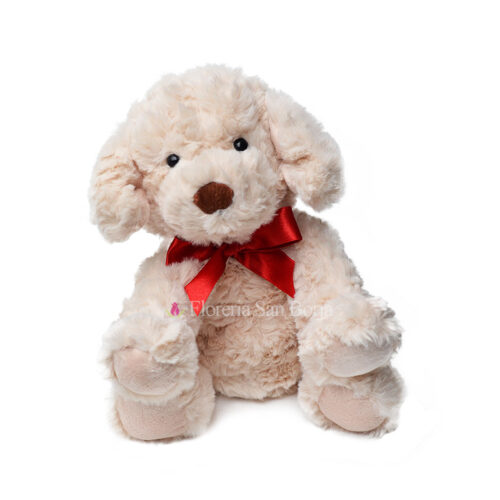 perrito con lazo mediano