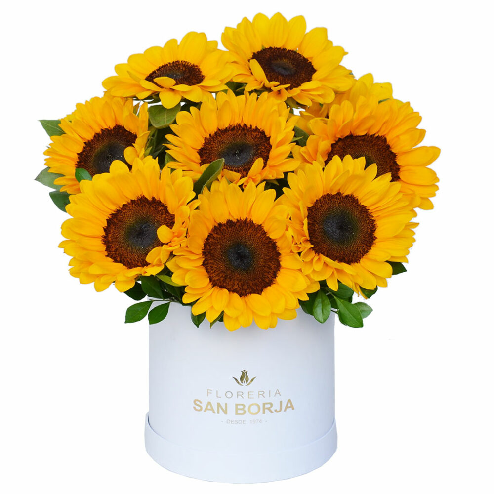 Regalos de graduación: sorprende con flores y detalles llenos de significado Regalos de graduación