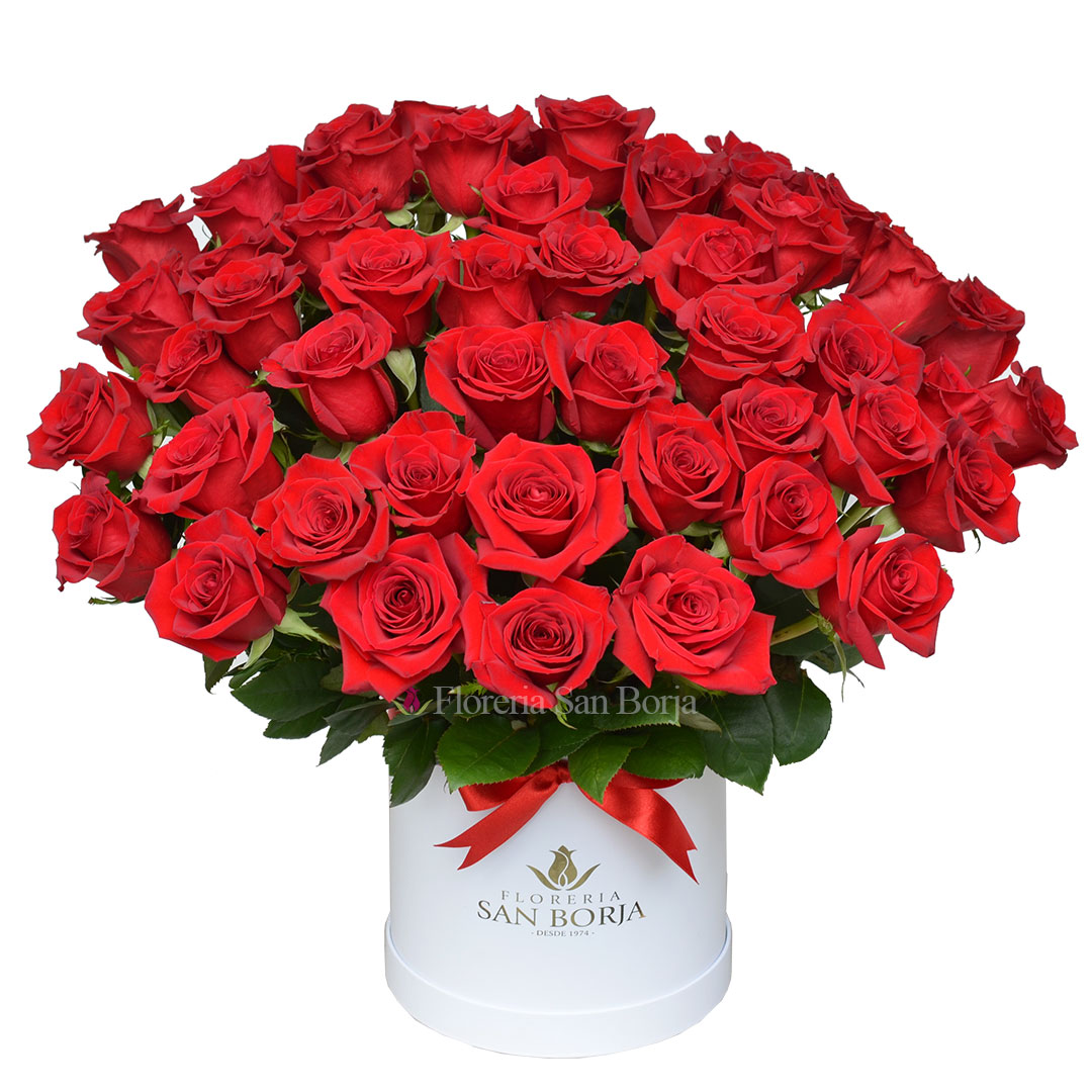 box 50 rosas