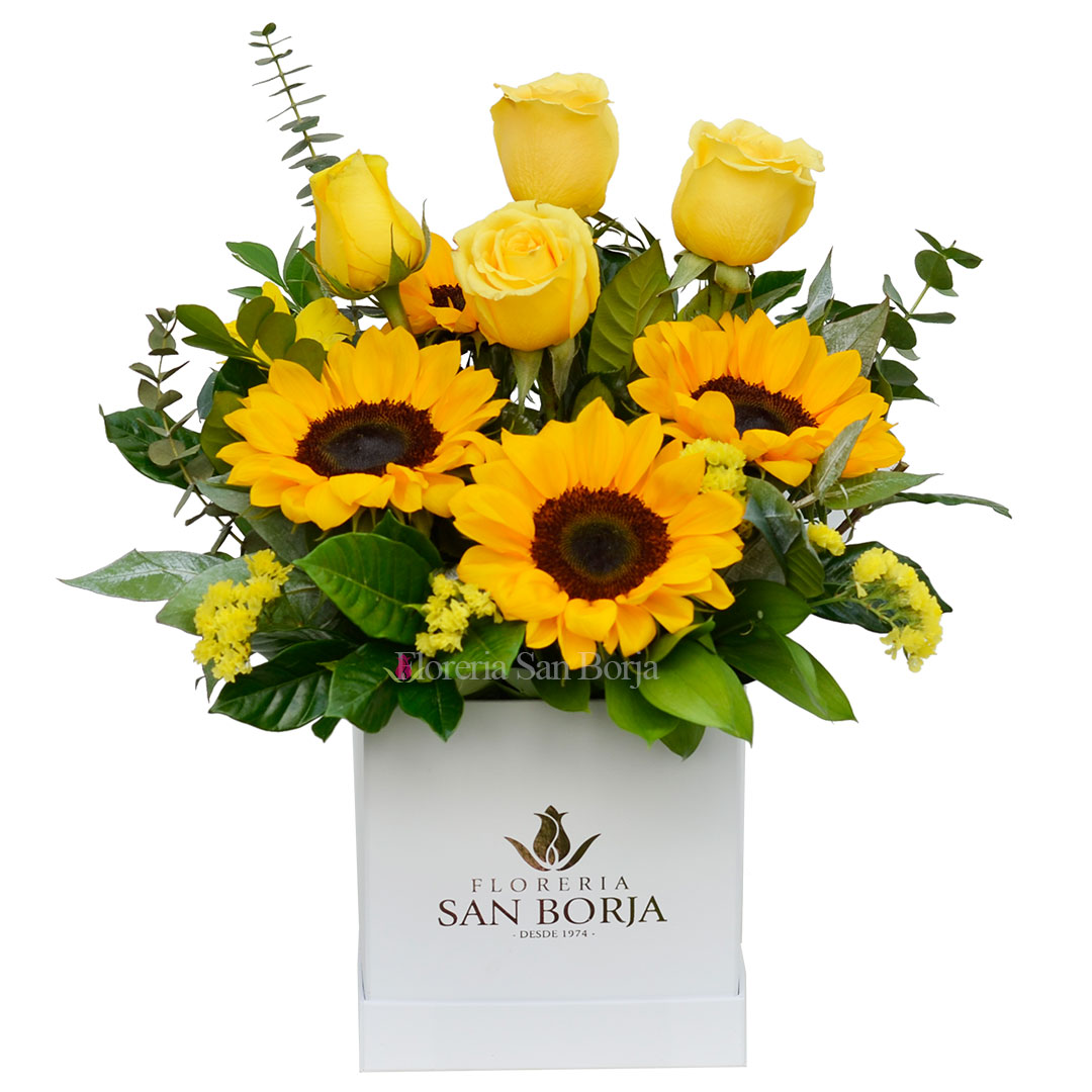 Box cuadrado Adorable Primavera