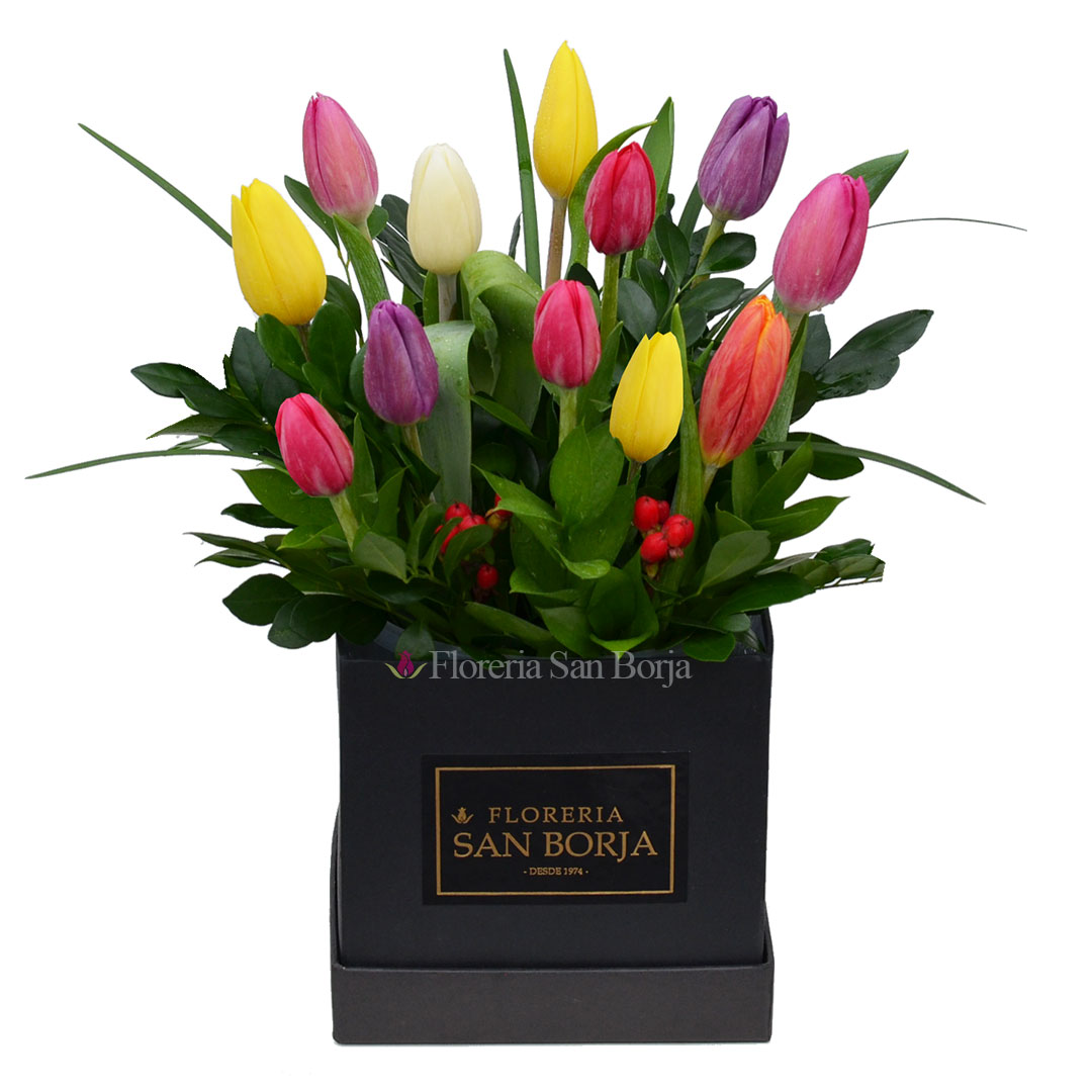 Box cuadrado con 12 tulipanes