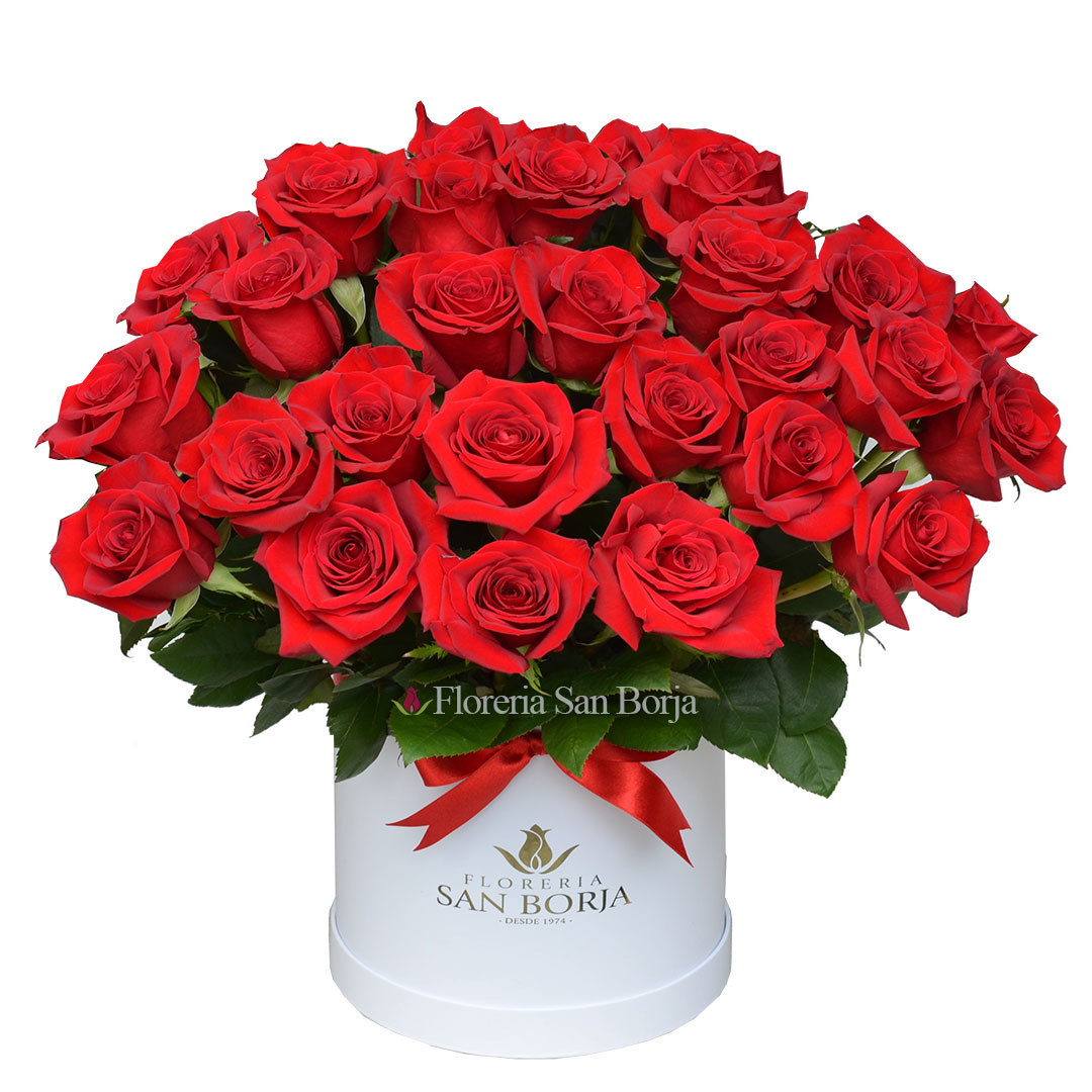 Box cilíndrico con 36 rosas