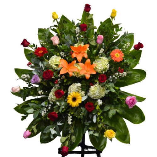 rosas_multicolor_19rosa