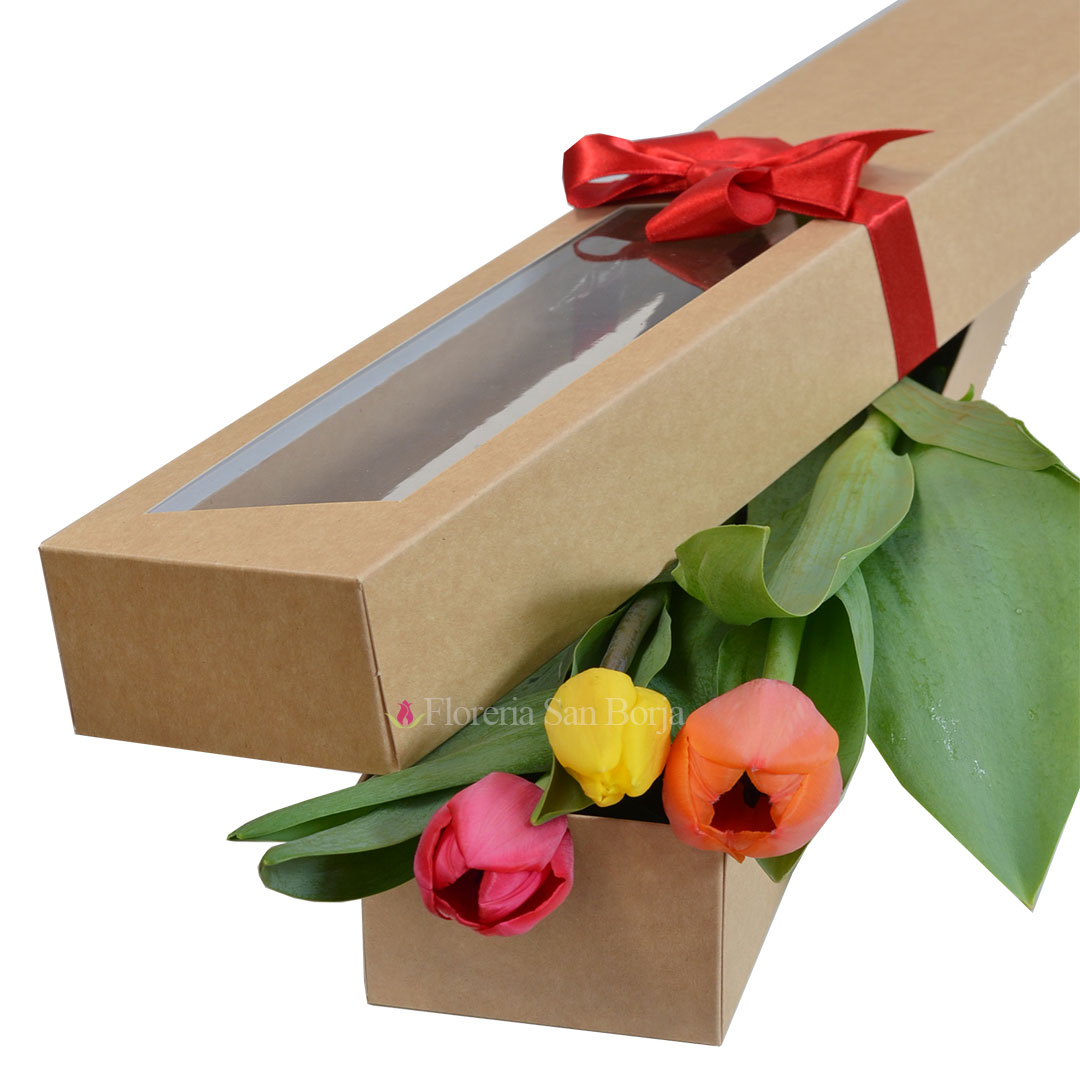 caja con 3 tulipanes