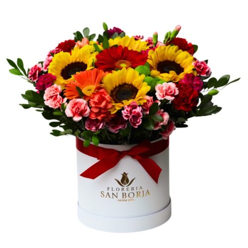 Box flores mixtas