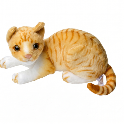 Gatito Felix
