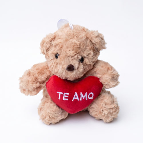 Oso con corazon chico