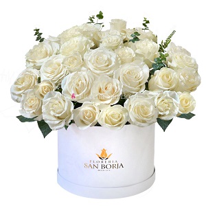 Flores para primavera: ideas para regalar y celebrar la nueva estación flores para primavera
