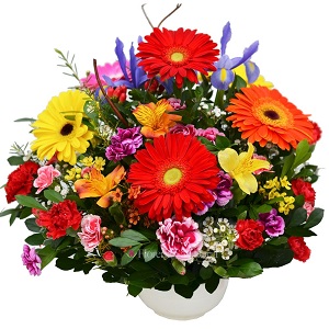 Flores para primavera: ideas para regalar y celebrar la nueva estación flores para primavera