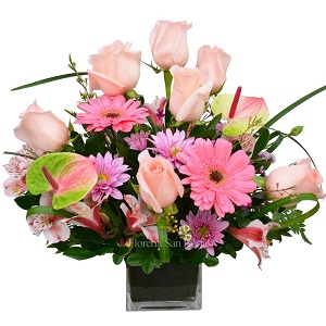 Flores para primavera: ideas para regalar y celebrar la nueva estación flores para primavera