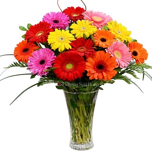 Flores para primavera: ideas para regalar y celebrar la nueva estación flores para primavera
