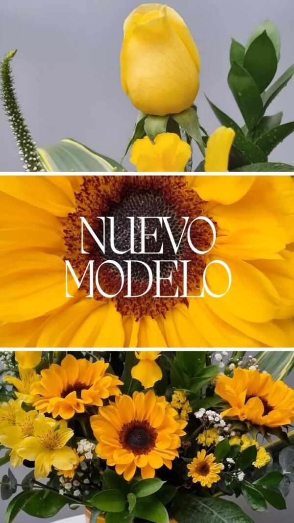 ¿Tulipanes🌷, Rosas 🌹 o Girasoles 🌻 ? Encuentra la combinación de estas hermosas flores en nuestro nuevo diseño floral Rachelle ✨ Ideal para enviar las mejores vibras a un ser querido o para iluminar cualquier ambiente ✨Encuéntralo en nuestra web: www.floreriasb.com.pe
.
.
.floresamarillas girasoles rosas tulipanes floreriasperu floreriaslima floristerialima floresperu rosasperu arreglosflorales diseñofloral floreriasanborja